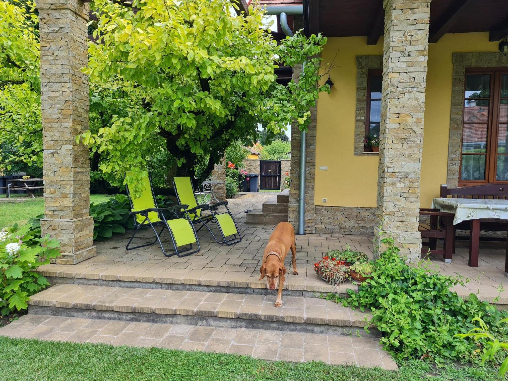 Duzzogo Vendeghaz Agard Villa Gardony Ngoại thất bức ảnh