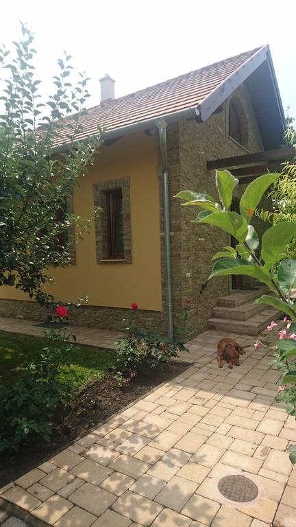 Duzzogo Vendeghaz Agard Villa Gardony Ngoại thất bức ảnh