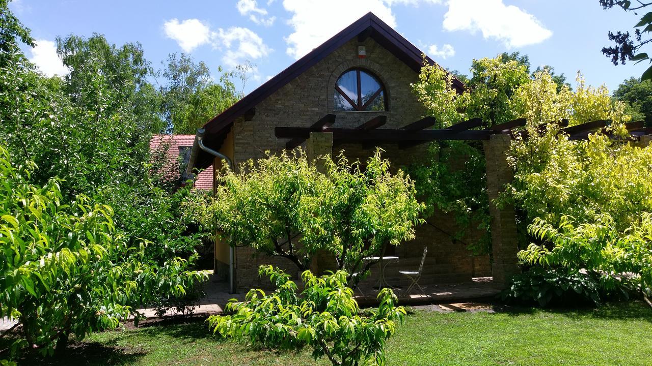 Duzzogo Vendeghaz Agard Villa Gardony Ngoại thất bức ảnh